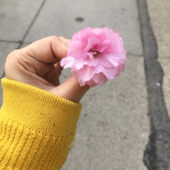 Meet your Posher, Anisha - Picture 1 of 1